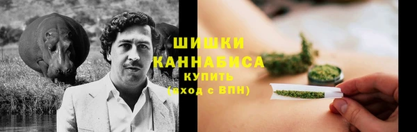 мяу мяу мука Аркадак