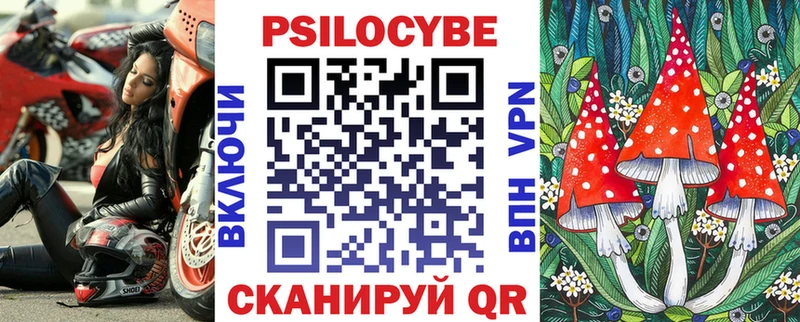 Псилоцибиновые грибы Psilocybe  МЕГА tor  Среднеколымск 